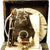 Christmas Nativity - Natural Small w/Moon